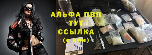 дживик Арсеньев