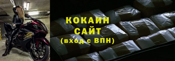 дживик Арсеньев
