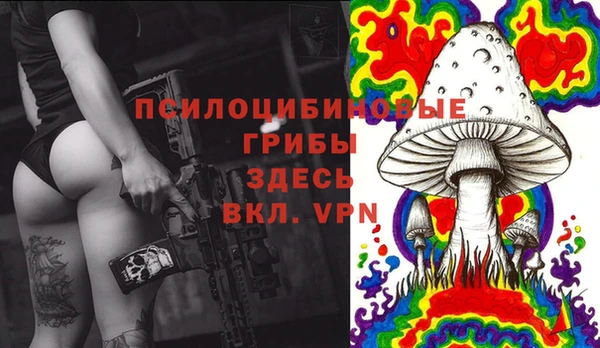дживик Арсеньев