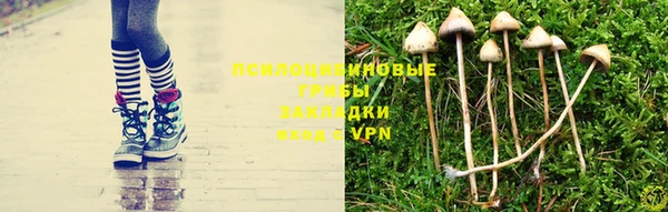 дживик Арсеньев
