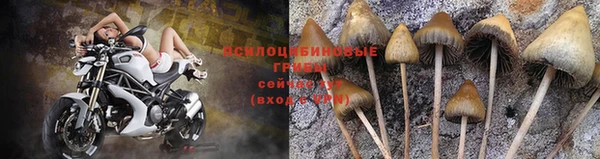 дживик Арсеньев